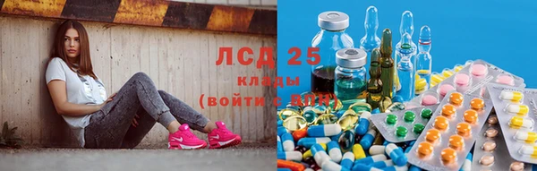 спайс Кодинск