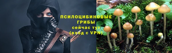 спайс Кодинск