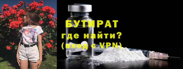 индика Козловка