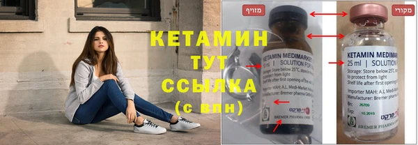 индика Козловка