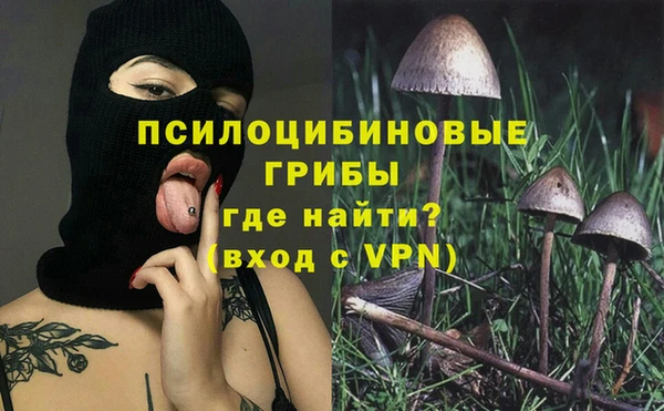 а пвп мука Козельск