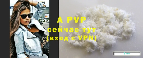 индика Козловка