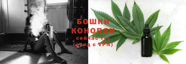 индика Козловка