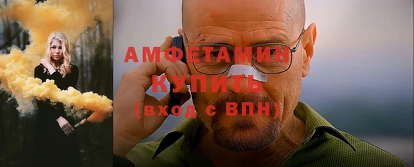индика Козловка