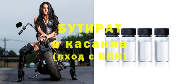 индика Козловка