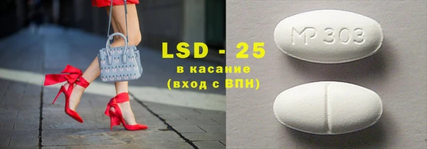 индика Козловка