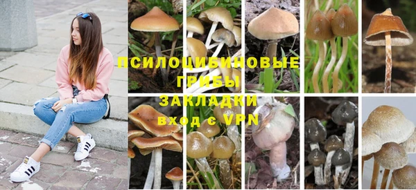 а пвп мука Козельск
