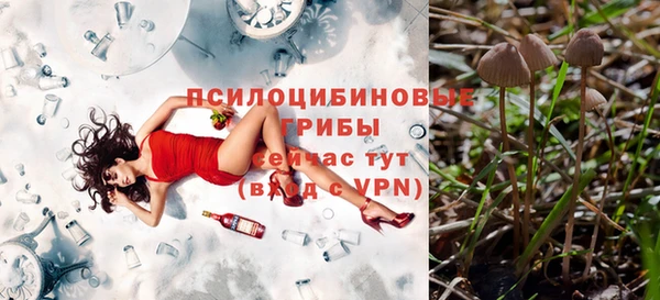 а пвп мука Козельск