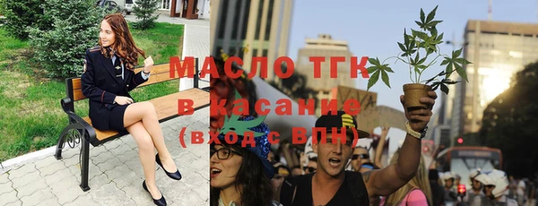 индика Козловка