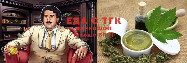 индика Козловка