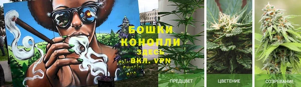 индика Козловка