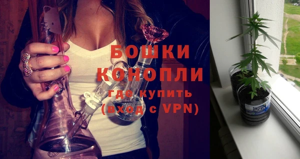 индика Козловка