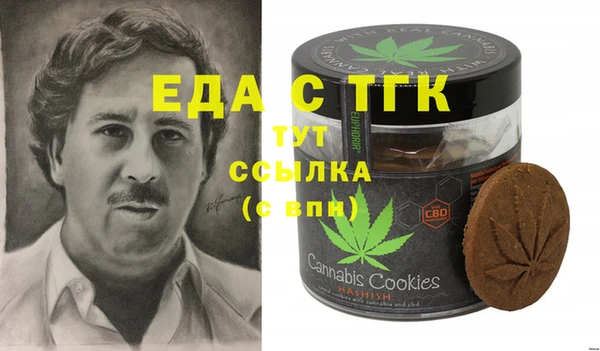 индика Козловка