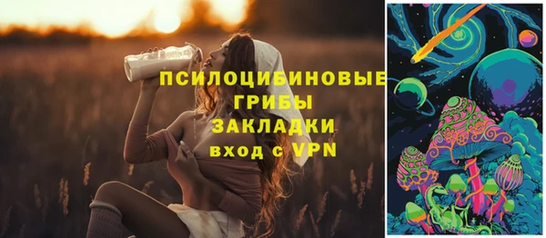 а пвп мука Козельск